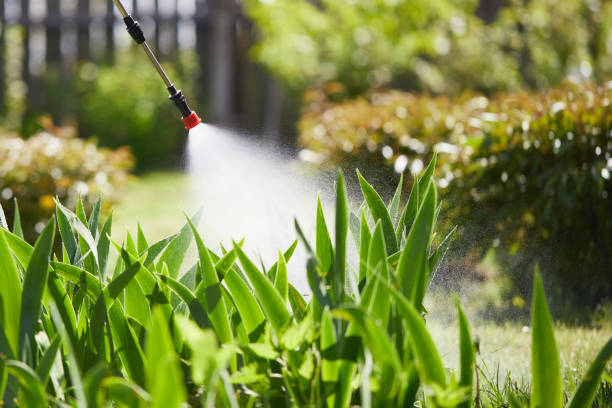 24/7 Emergency Mosquito Control experts in Toast, NC