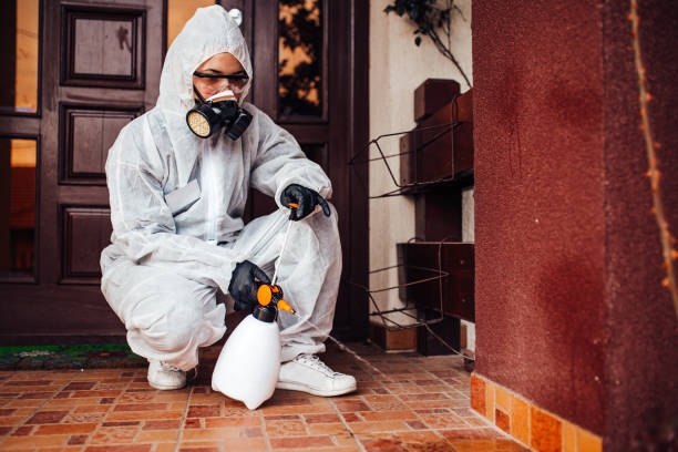 Reliable Mosquito Control contractor in Toast, NC by Show Me Pest Control
